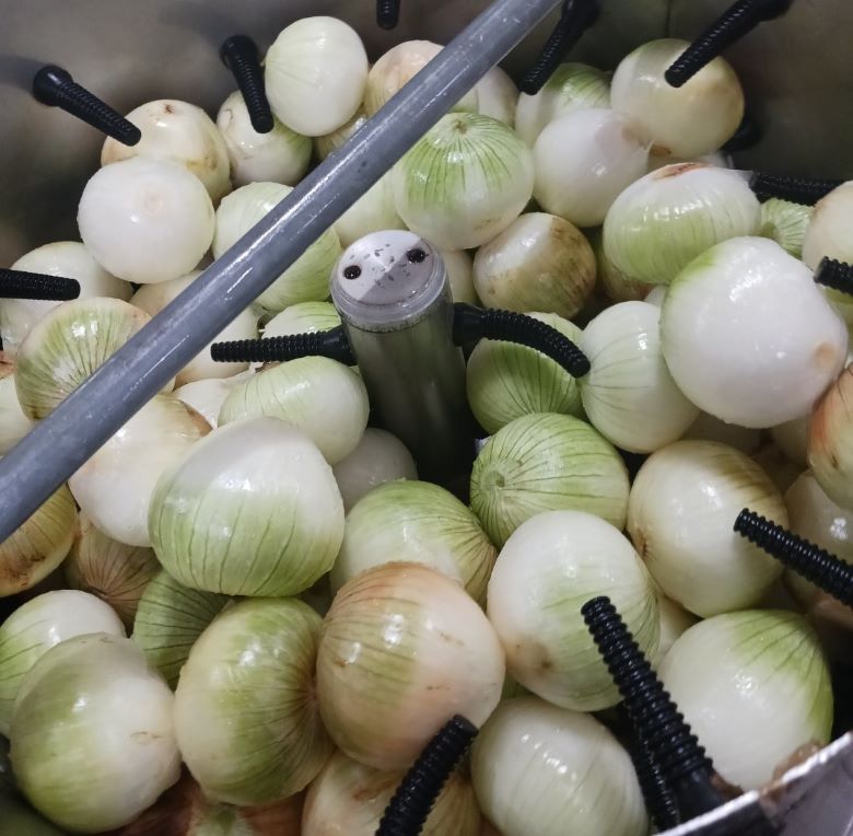 껍질까지 넣어서 달인 순수 진액 양파즙 110ml, 50개 : 의성중탕