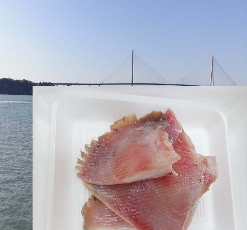 가오리 날개살 700 g산 국내 무침 목포 찜 리회 회감 제철 리살 : 띠띠부리