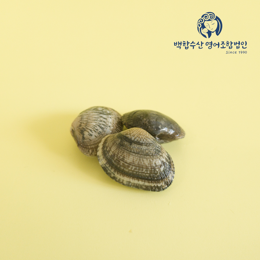부안 곰소 해감 바지락 6kg~8kg : 백합수산영어조합법인