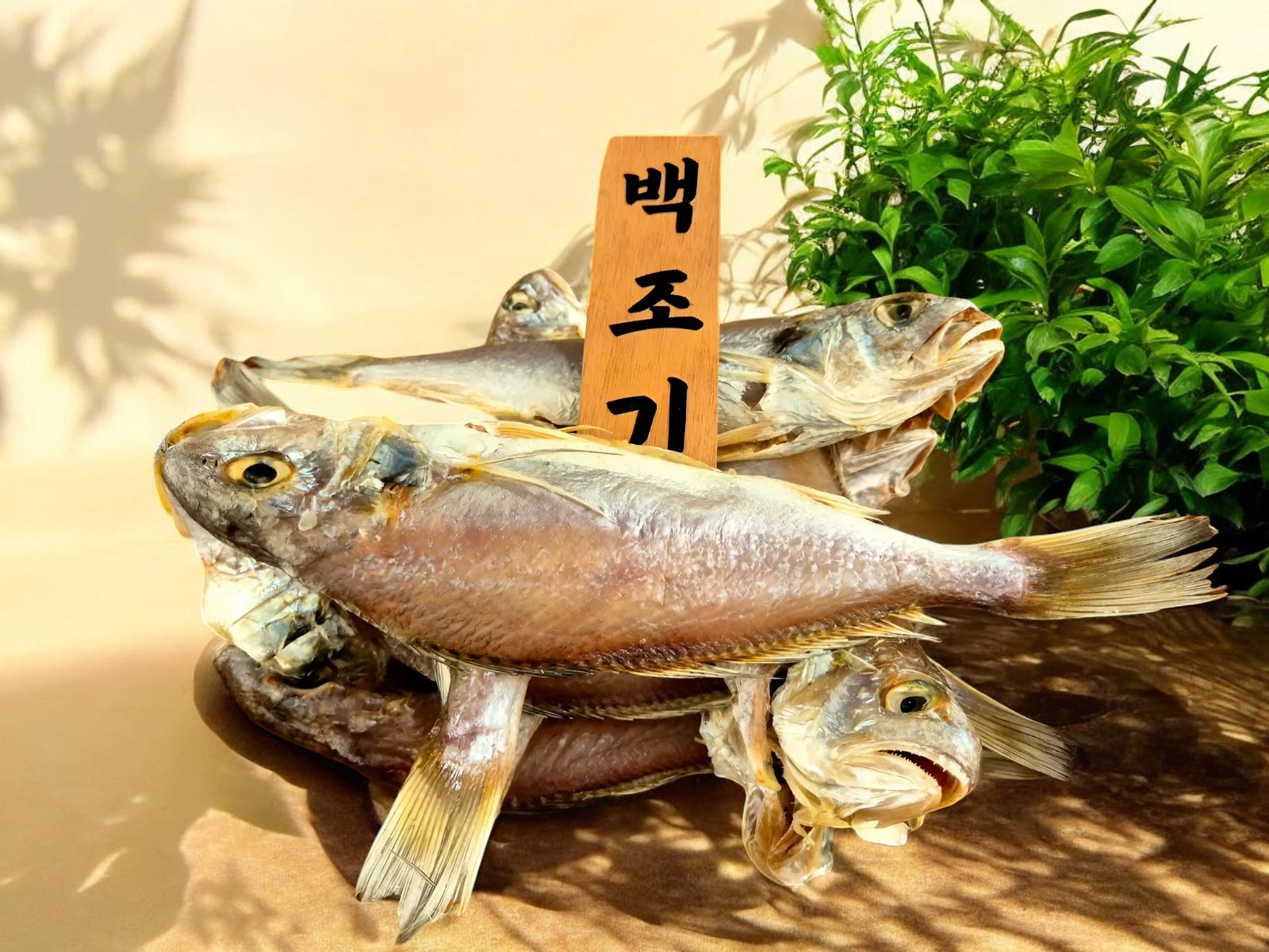 [통영] 반건조백조기 : 통영어가수산