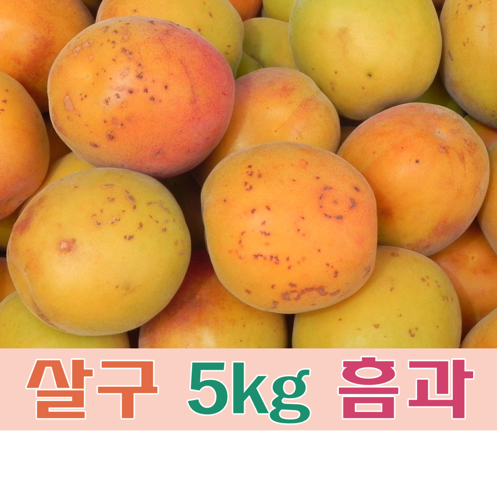 (팔공산농원) 살구 5kg 흠과 : 팔공산 농원