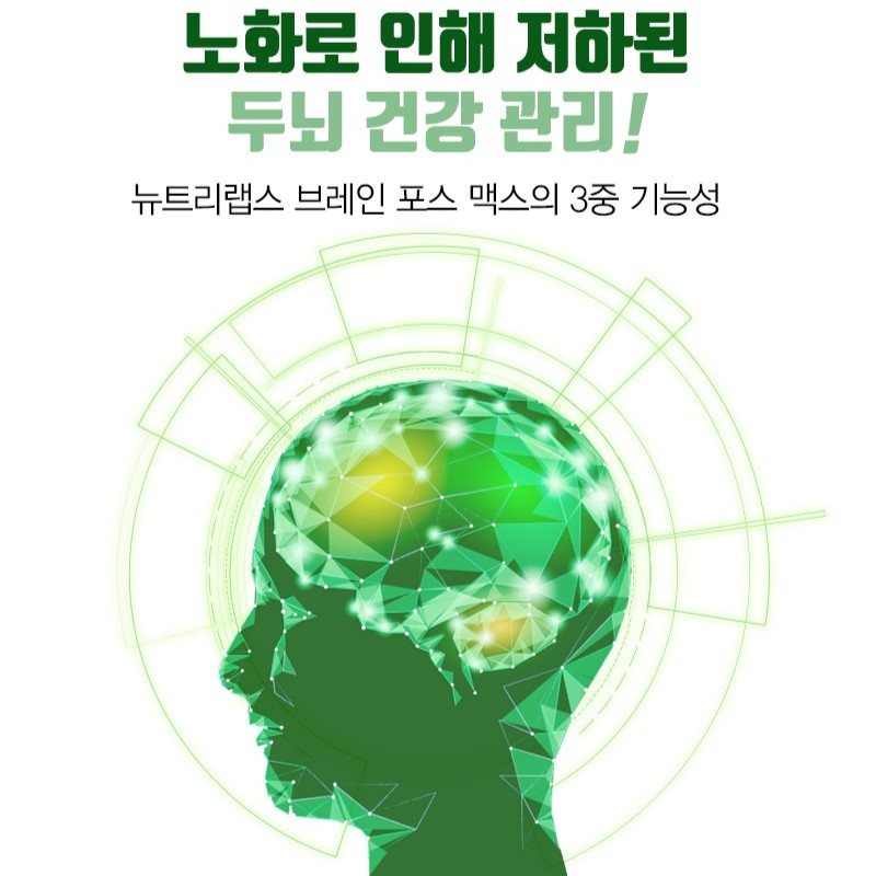 뉴트리랩스 브레인 포스 맥스 60캡슐 인지력 기억력 혈행 개선 포스파티딜세린 은행잎 징코 : 관절119