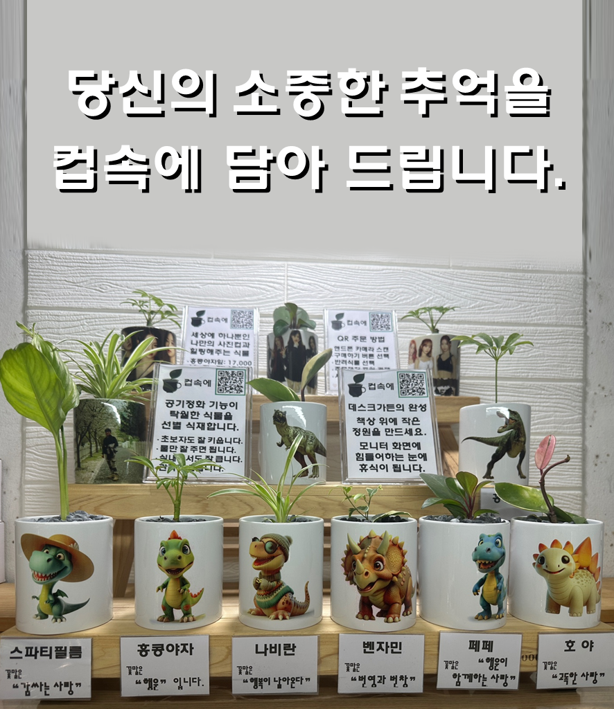 로티맘이 소개하는 사진컵에 반려식물을 키워보세요. : 컵속에