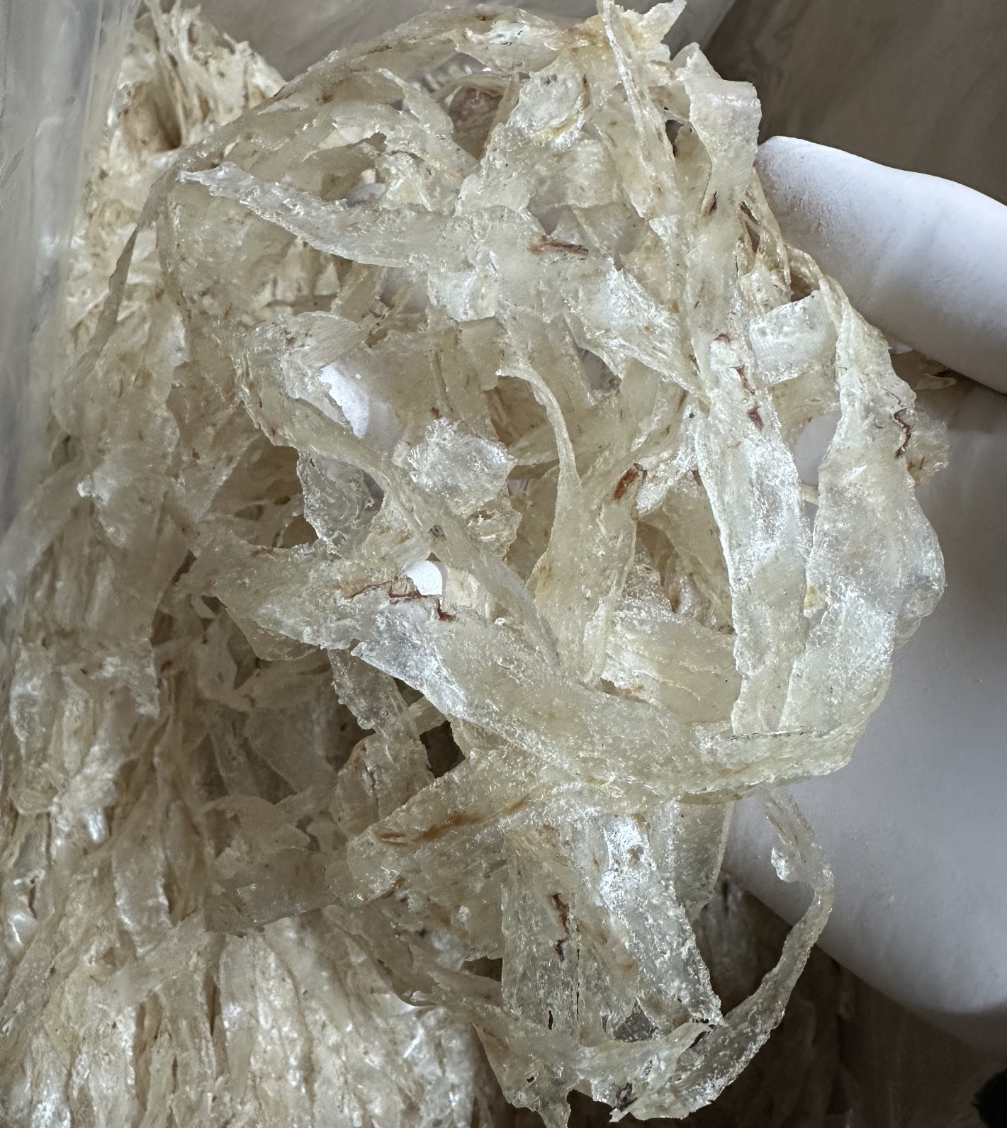 국내가공 명태함량 92% 고함량 최상급 투명한 명엽채 500g 700g 1kg 업소용 식자재 건어물 도매 중부시장 : 태성건어물