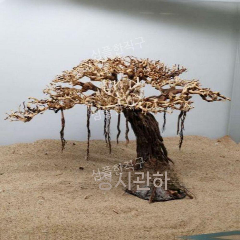 대형유목 열대어 은신처 소나무 물고기집 어항꾸미기 수족관 나무 어항 장식 수조 테라리움 : 심플한직구1
