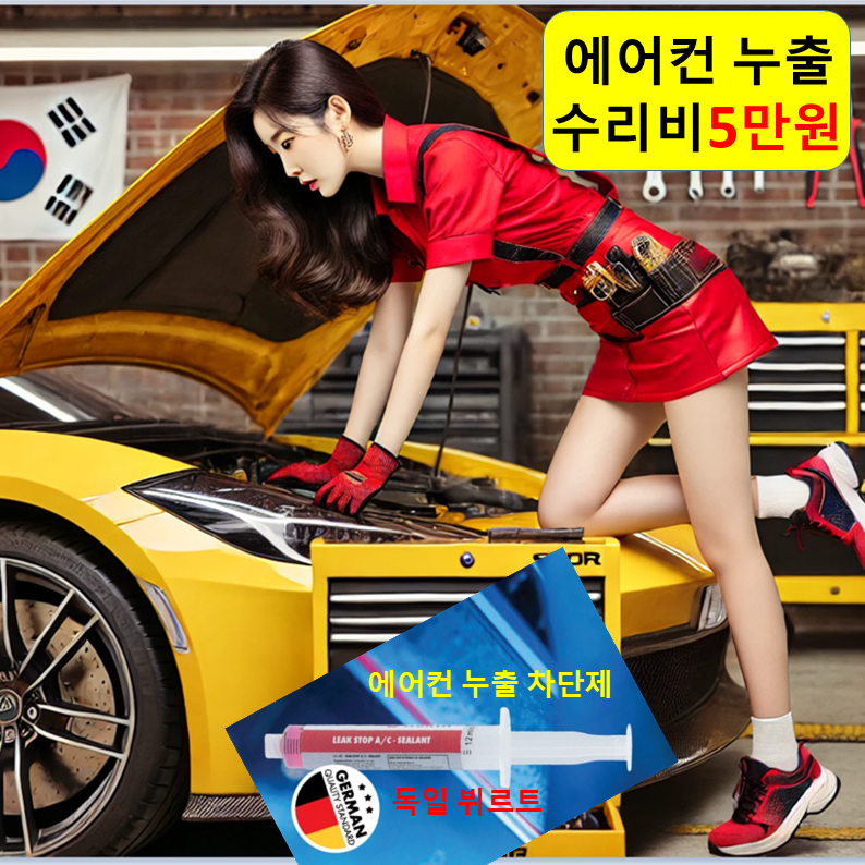 에어컨 수리 5만/충전 2만/비용 청소 잘하는곳 설치 아산 당진 서산 태안 예산 홍성 청양 : 자동차의 모든것 착한카