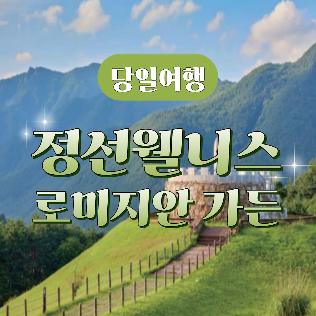 [역장투어-당일여행] 정선 웰니스 여행 로미지안 가든수국/자작나무/치유의숲 : 역장투어