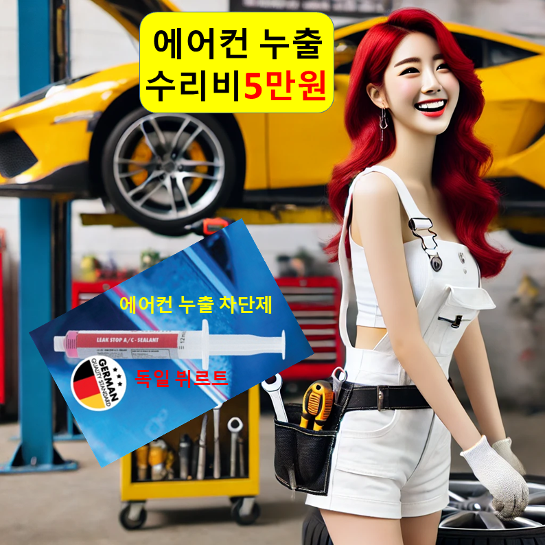 에어컨 수리 5만/충전 2만/청소 업체/용산구 은평구 종로구 중구 중랑구 서울 하남 의정부 : 자동차의 모든것 착한카