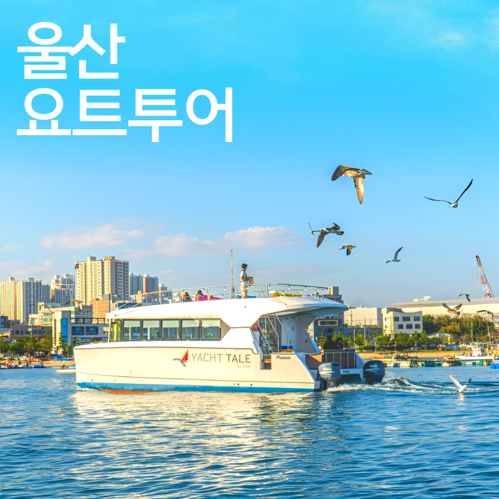 울산 요트투어 울산데이트 가족여행 액티비티 : 돌고래여행사-돌핀스토어
