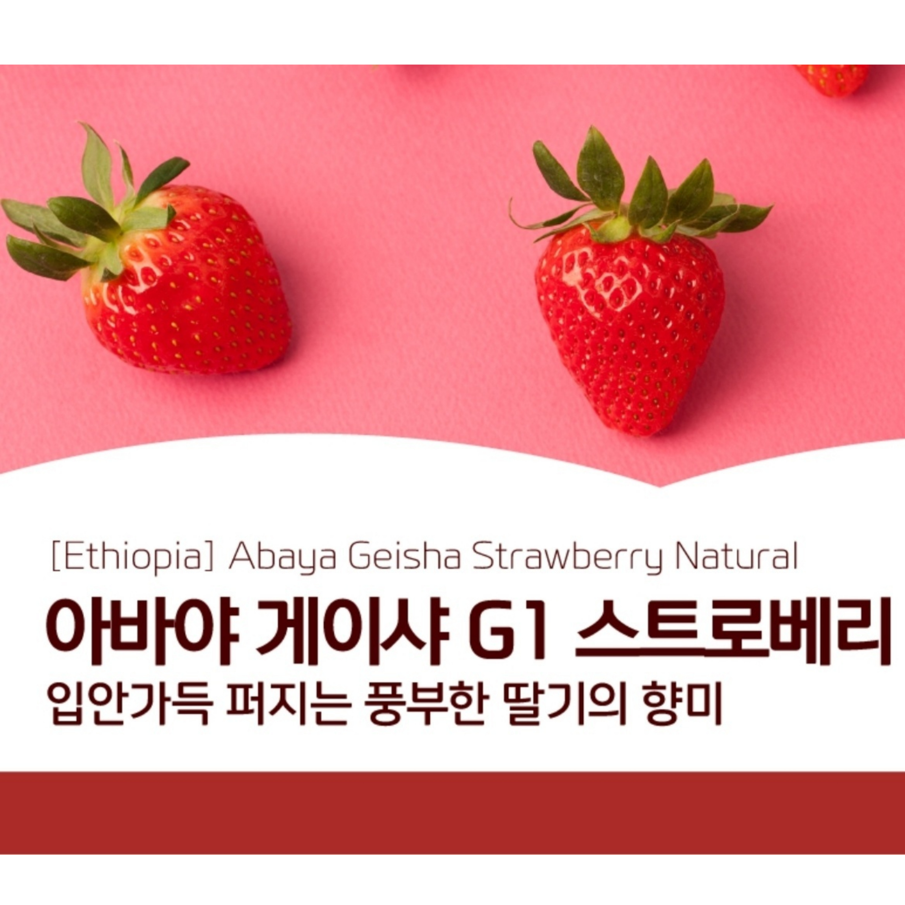에티오피아 아바야 게이샤 스트로베리 내추럴 200g : 휴먼빈스