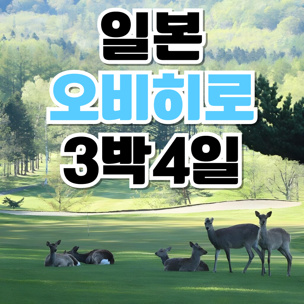훗카이도 골프여행 오비히로 청주직항 사호로 리조트 : 골프 디데이트립