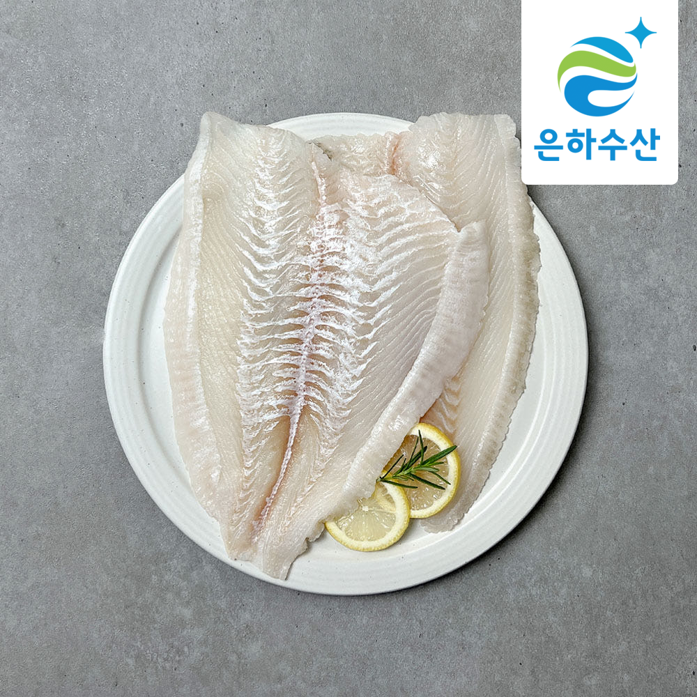 제주산 숙성 광어 필렛 광어회 대광어 당일작업 550g, 4개 : 은하수산