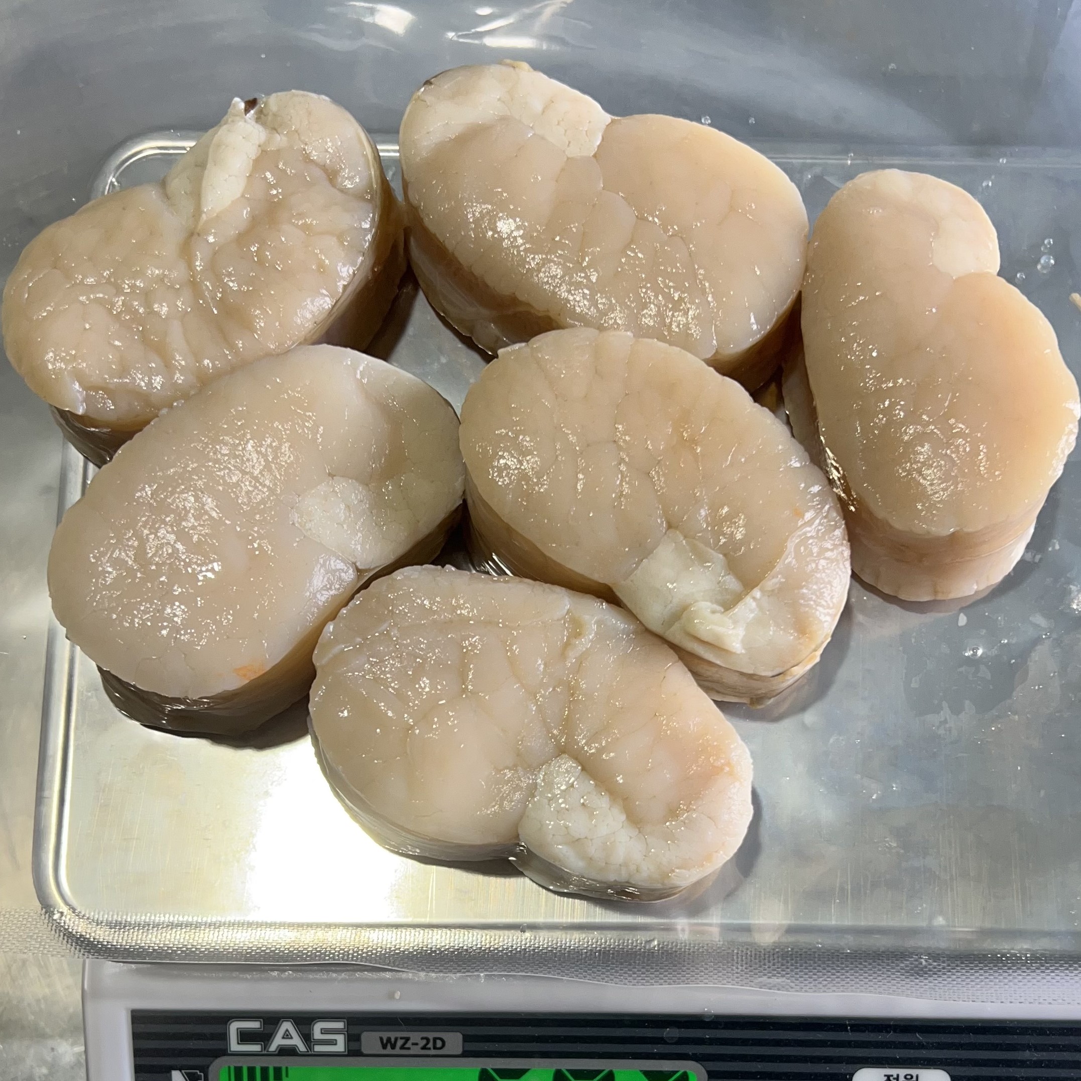 키조개 냉동관자 관자슬라이스 : 유한회사 늘푸른수산