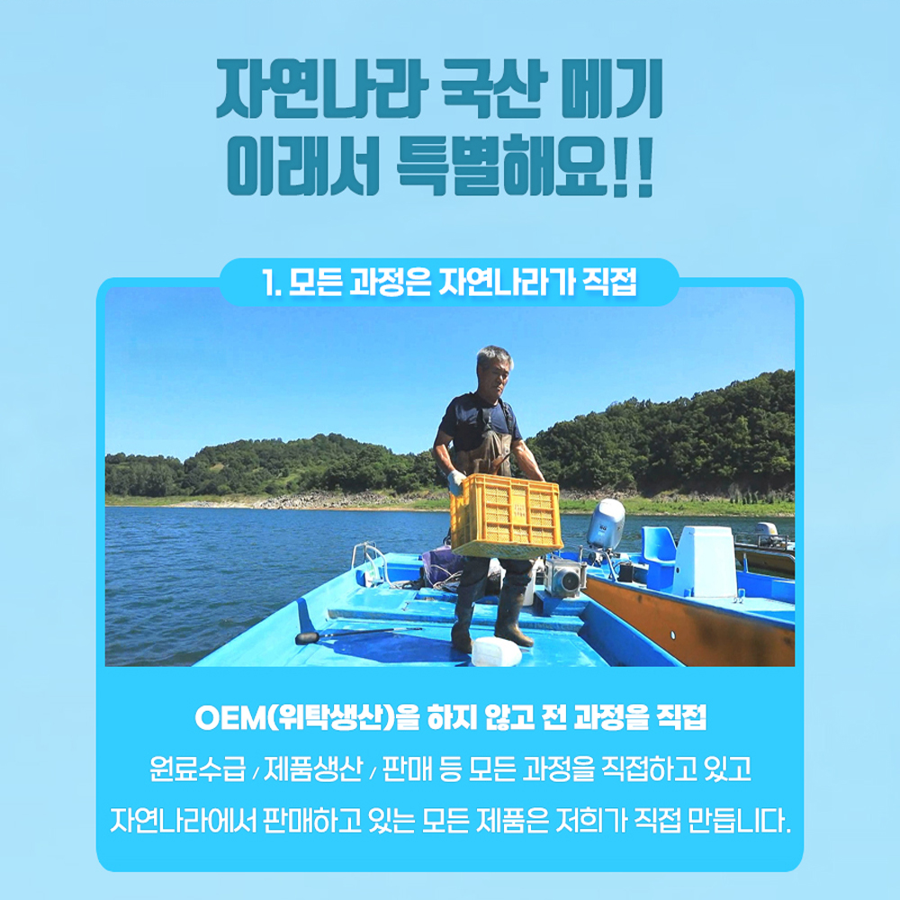 국내산 민물고기 메기 1kg , 메기매운탕 민물매운탕 어탕 어죽 : 자연나라다슬기