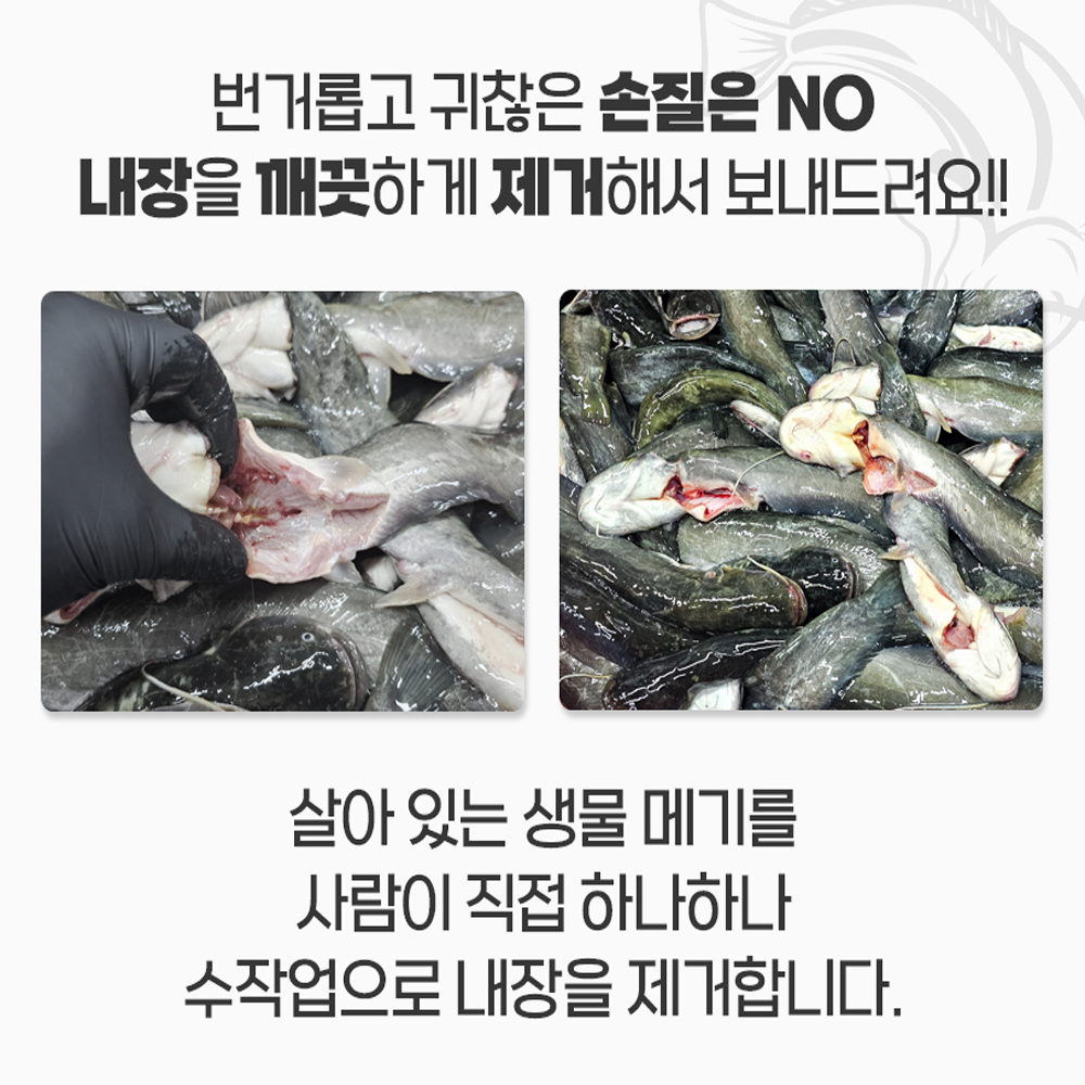 국내산 민물고기 메기 1kg , 메기매운탕 민물매운탕 어탕 어죽 : 자연나라다슬기