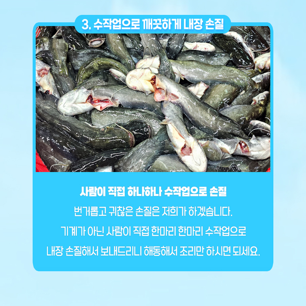 국내산 민물고기 메기 1kg , 메기매운탕 민물매운탕 어탕 어죽 : 자연나라다슬기