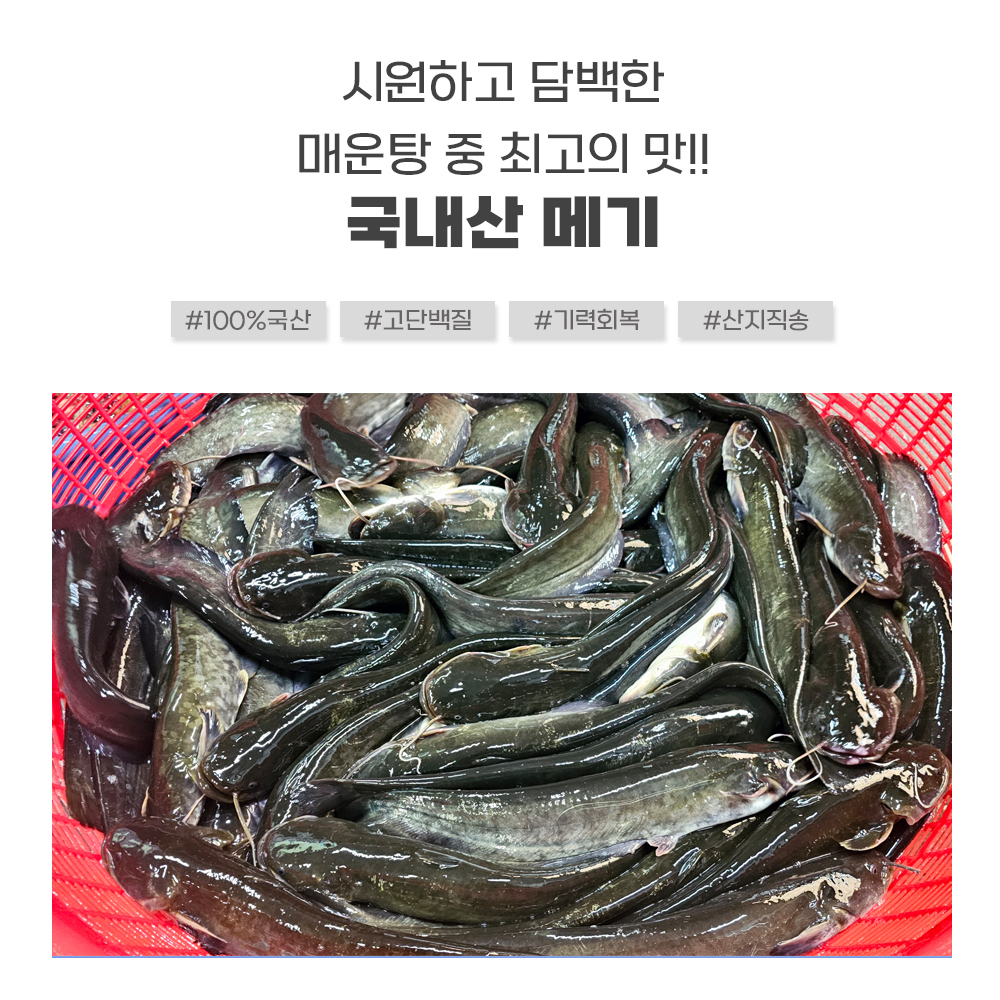 국내산 민물고기 메기 1kg , 메기매운탕 민물매운탕 어탕 어죽 : 자연나라다슬기