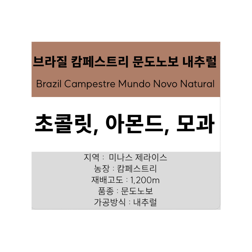 스페셜티 싱글 원두커피 100g - 브라질 캄페스트리 문도노보 내추럴 : 센티드 커피 로스터스