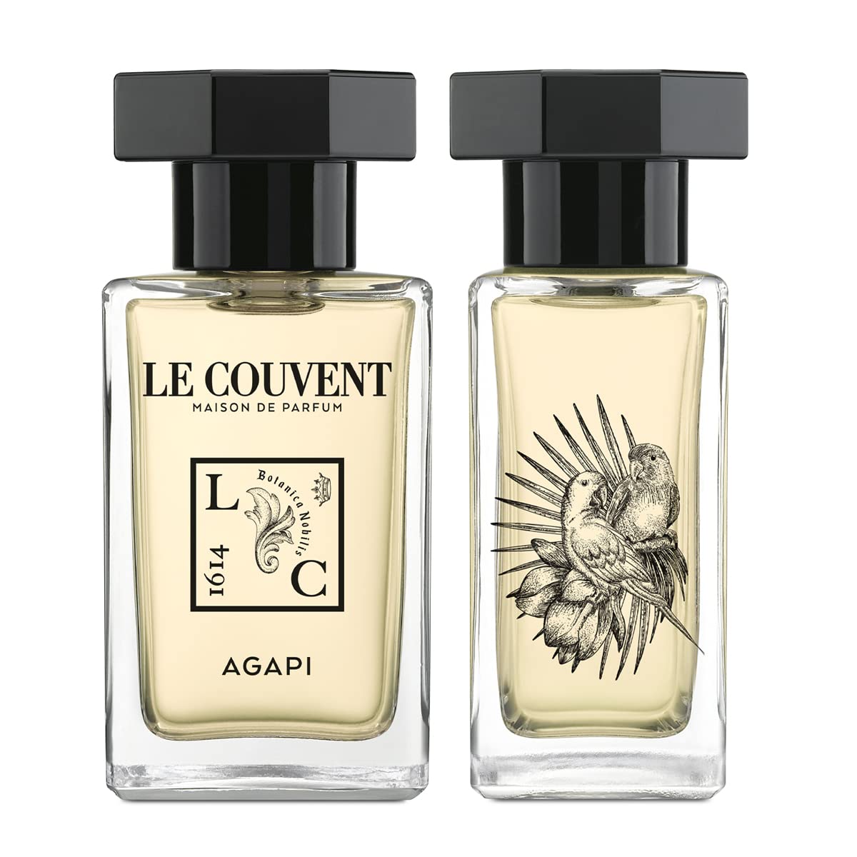 싱귤러 오데팔팜 아가피 50mL 프루티 플로럴 패션 과일 일랑 일랑 비건 : STORE GEN