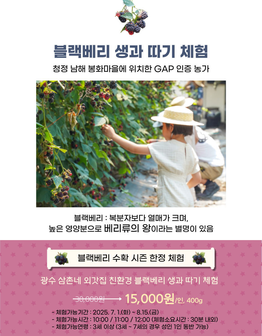[남해로온] 남해 외갓집 - 광수 삼촌네 친환경 블랙베리 체험 : 남해로온