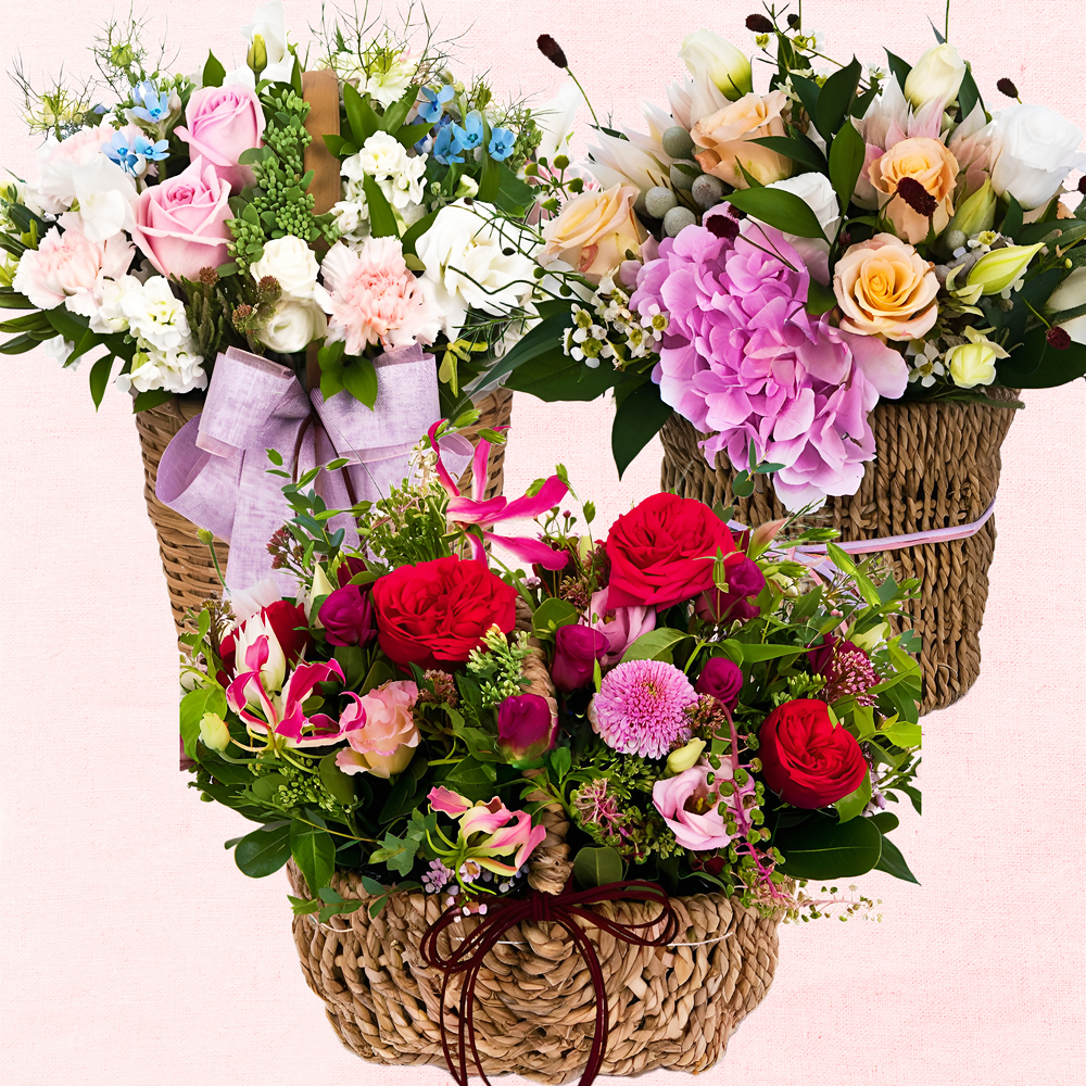 꽃바구니 꽃배달 생일축하 결혼기념일 개업화분 인사이동 꽃집 학원개업 전국꽃배달서비스 : 8282꽃배달