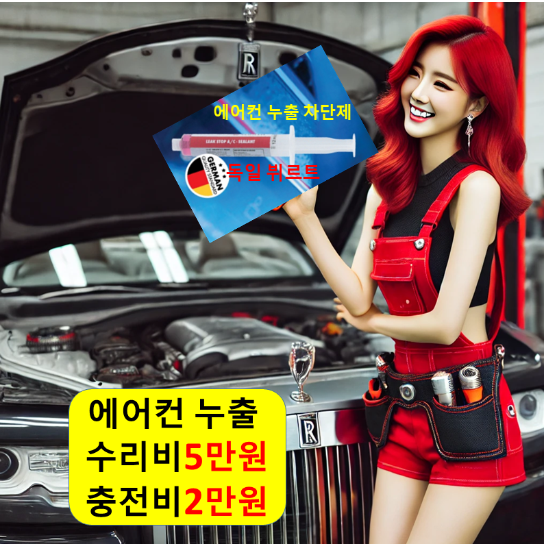에어컨 충전 2만 누출 수리 5만 자동차 차량 서산 태안 예산 홍성 청양 세종 공주 괴산 : 자동차의 모든것 착한카