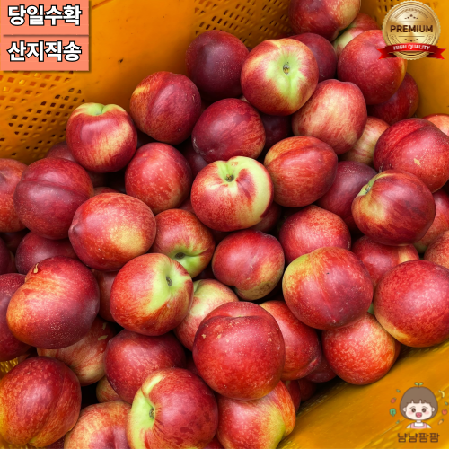 냠냠팜팜 프리미엄 신비복숭아 냠냠팜팜 프리미엄 신비복숭아 고당도 로얄과 재철복숭아 3kg, 1개 : 앙앙푸드 메케알로하
