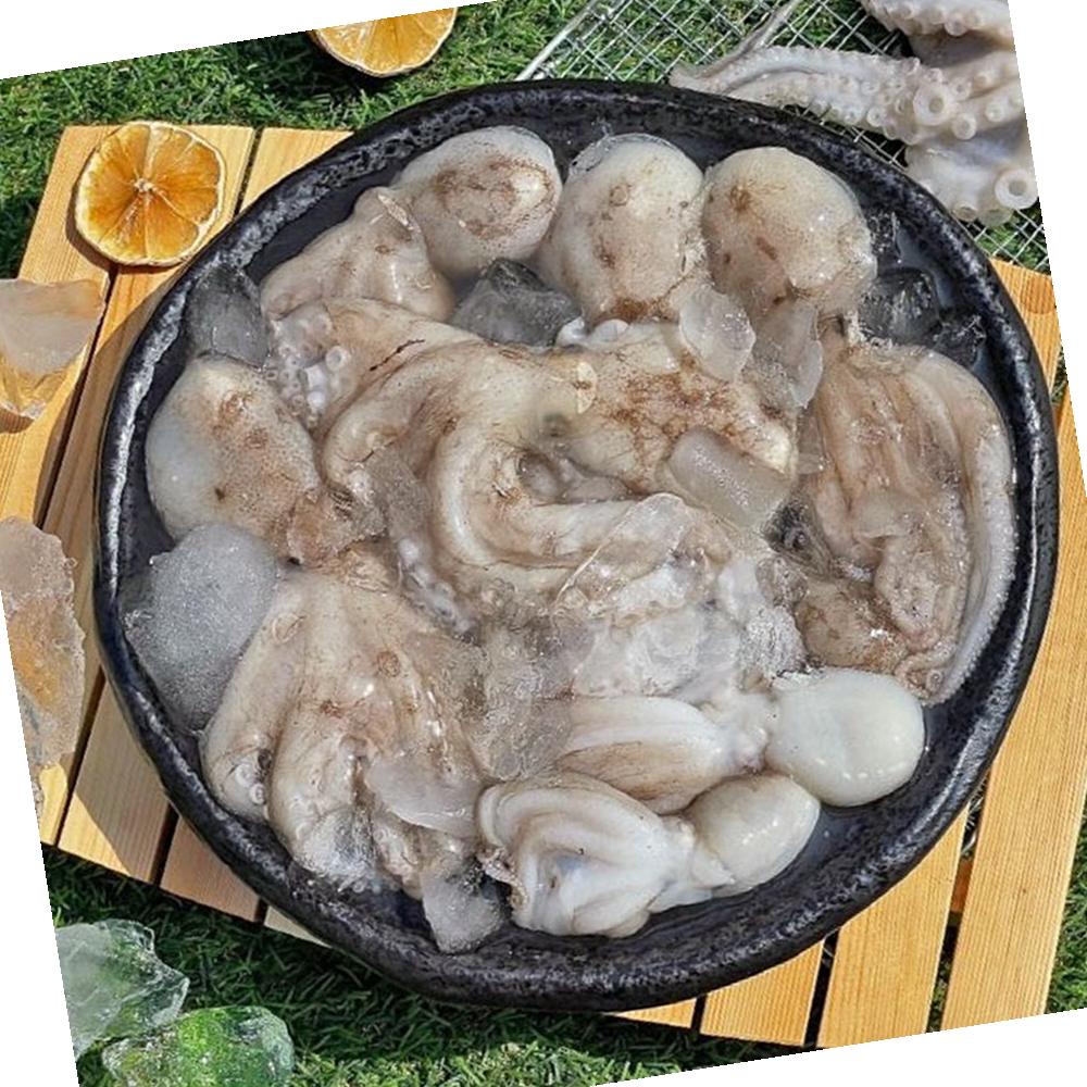 VDD 급냉 초특대 알쭈꾸미 2kg x 1세트 해산물 : 유정상회