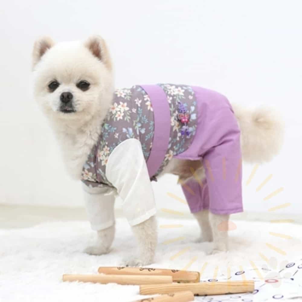 단디 신사 한복 바지 바이올렛 패리스독한복 : 단디프렌즈