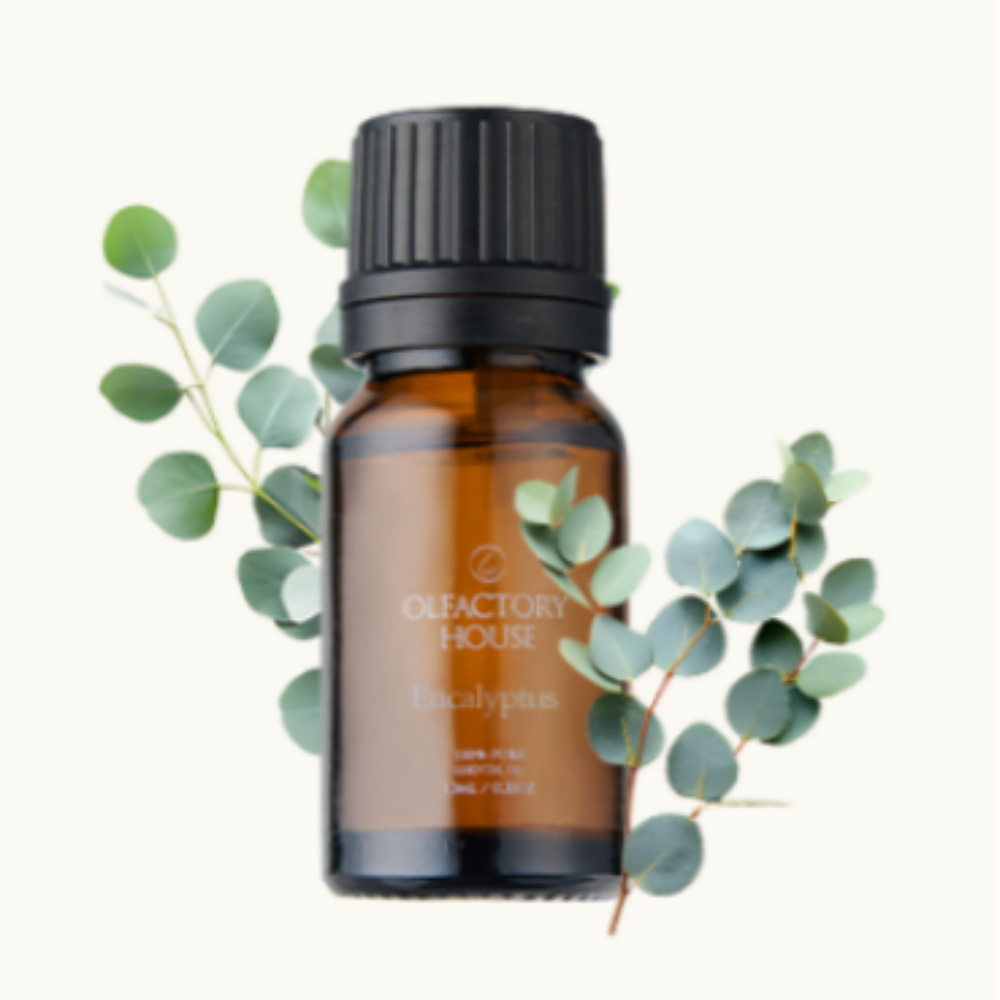 올팩토리하우스 천연 유기농 에센셜 오일 10ml 수면 향기 후각 훈련