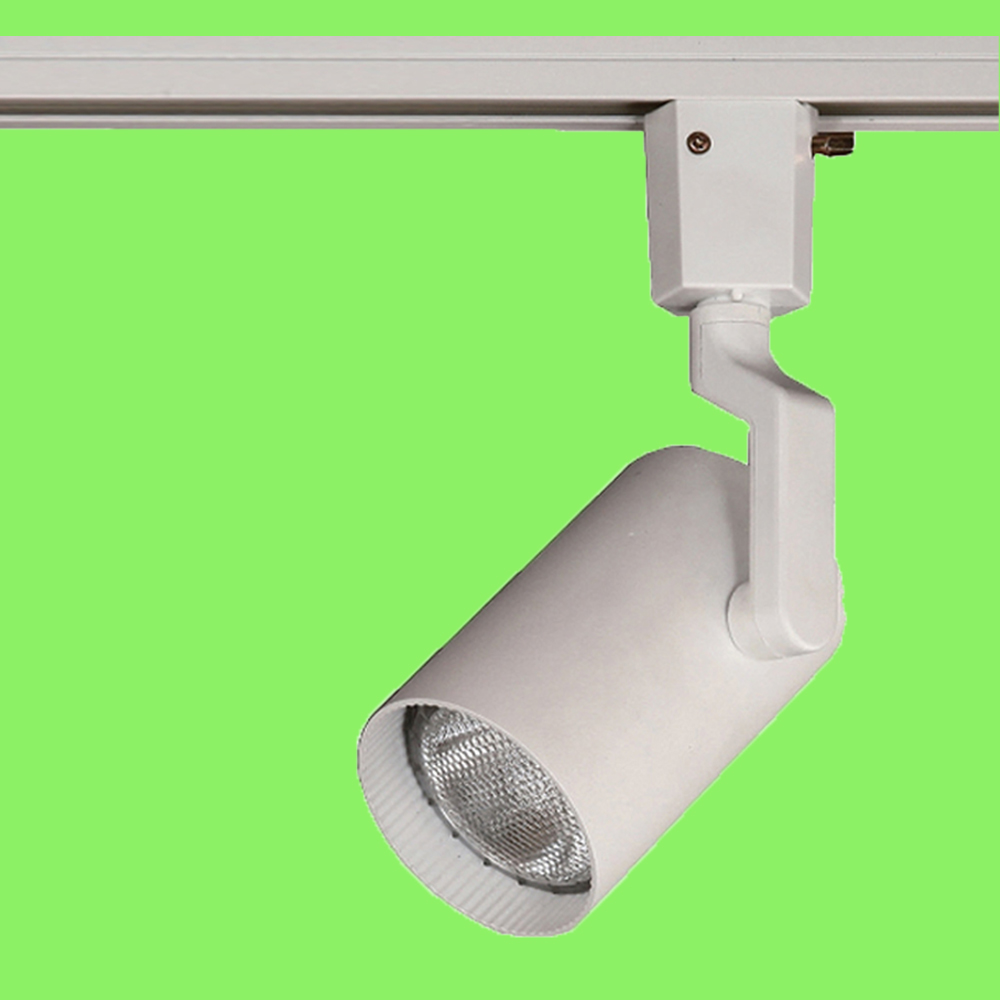 조명매장 음식 사진