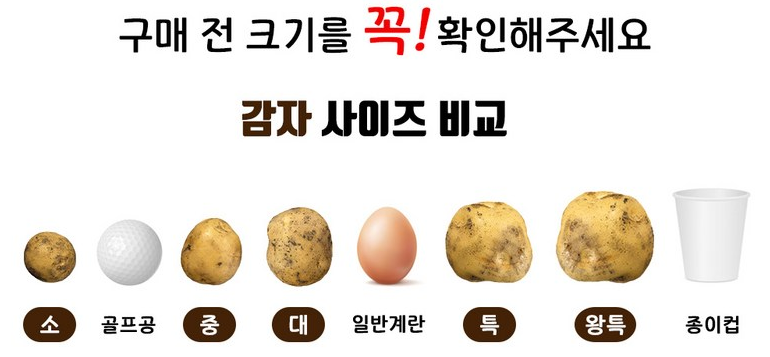 설아네